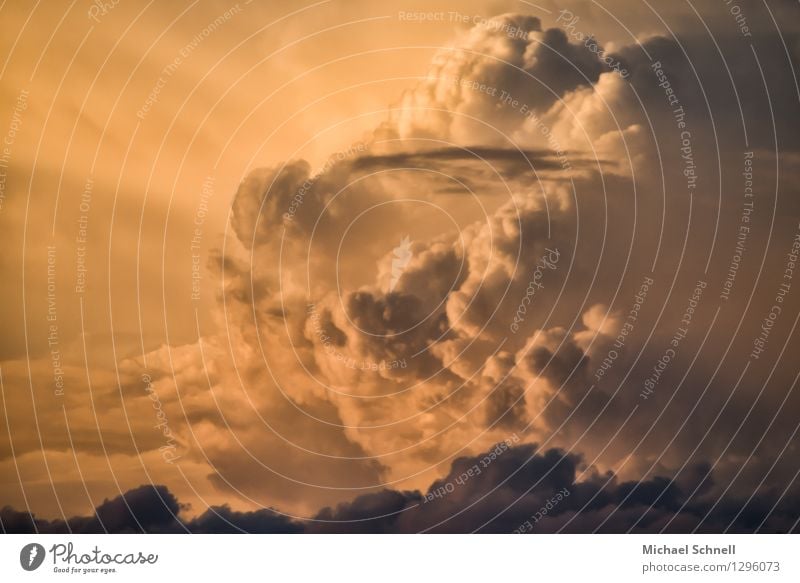 cloud formation Sky Clouds Storm clouds Summer Climate Weather Thunder and lightning Threat Gigantic Large Kitsch Wild Power Might Fear Dangerous