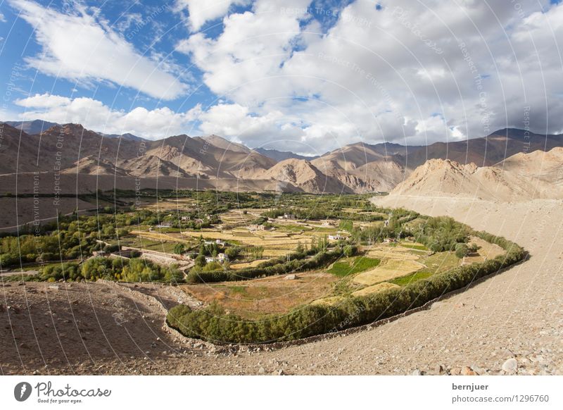 feud Environment Landscape Earth Clouds Summer Beautiful weather Peak Blue Brown Honest Leh Ladakh India Northern India Himalayas Mountain Irrigation