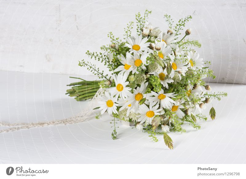 Wildflowers Bouquet I Plant Flower Blossom Foliage plant Bright Retro Clean Yellow Gray Green White Marguerite wedding bouquet Hippie Colour photo Interior shot