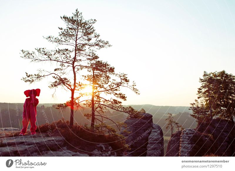 ER... HUH? Art Work of art Esthetic Elephant Pink Carnival costume Dress up Crazy Strange Eye-catcher Rock Saxon Switzerland Tree Patch of colour Lost Joy