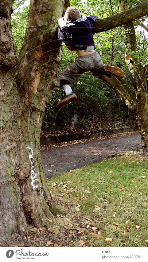 Young tree wanderer (II) Tree Park Perspire Work and employment Completed Garden path Child Extreme sports Branch Climbing Boy (child) toil exert oneself Effort