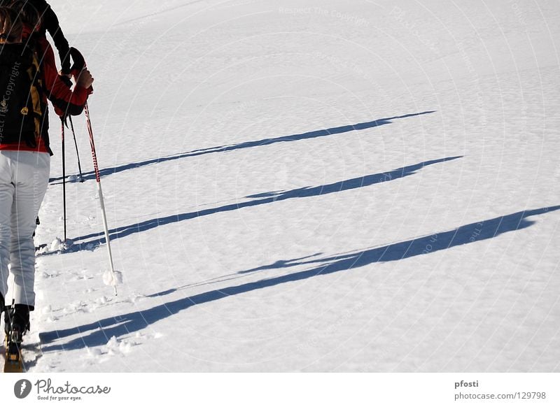 slight increase II Winter Vacation & Travel Hiking Backpack Pelt Skiing Skis Alpine Incline Go up Peak Calm Harmonious Leisure and hobbies Going March Ascending