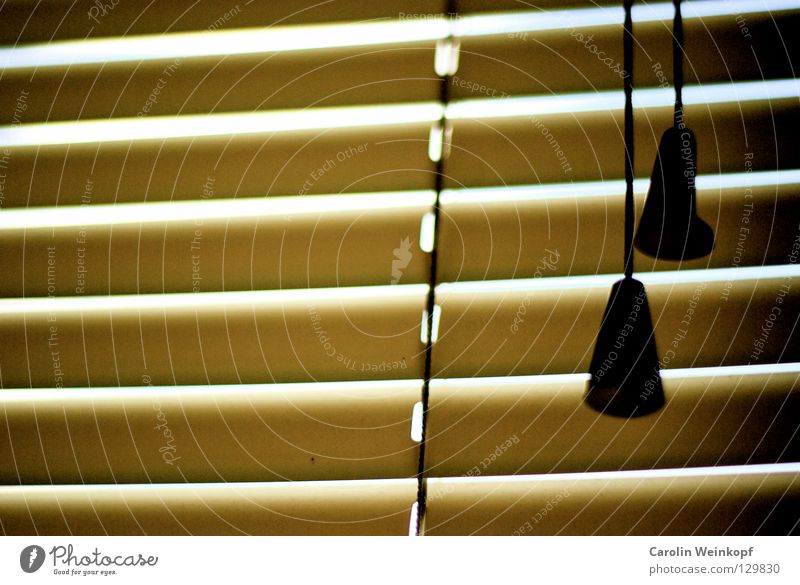 Good morning, dear sorrows. Venetian blinds Screening Morning Wake up Dark Bright Silhouette Exclude Alternating Slumber Arise 2 Yellow Beige Brown Black