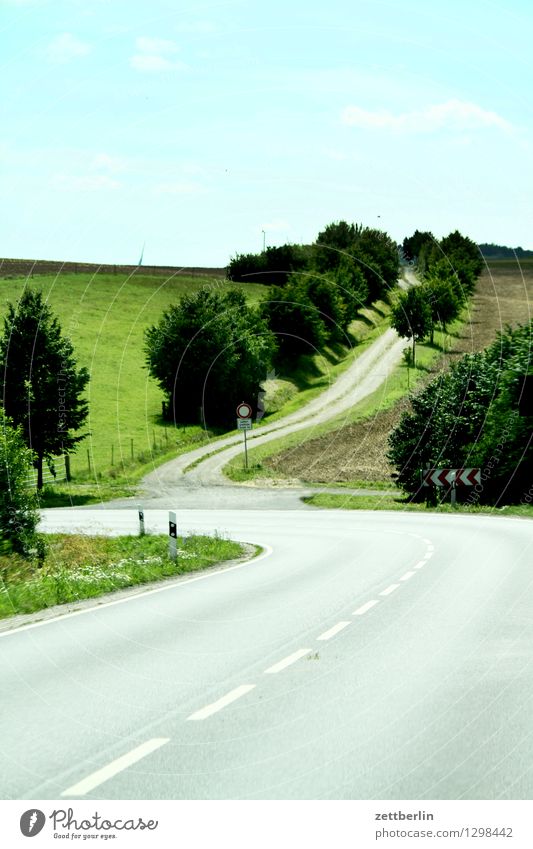 highway Street Country road Freeway Lanes & trails Footpath Transport Curve Deserted Empty Median strip confluence Crossroads Road junction Avenue Tree