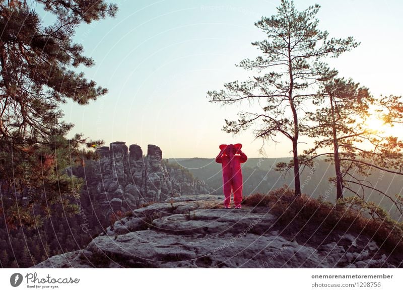 I can't hear you. Art Work of art Esthetic Listening Ear Forest Rock Saxon Switzerland Horizon Sun Stone Carnival costume Disguised Joy Hide Colour photo