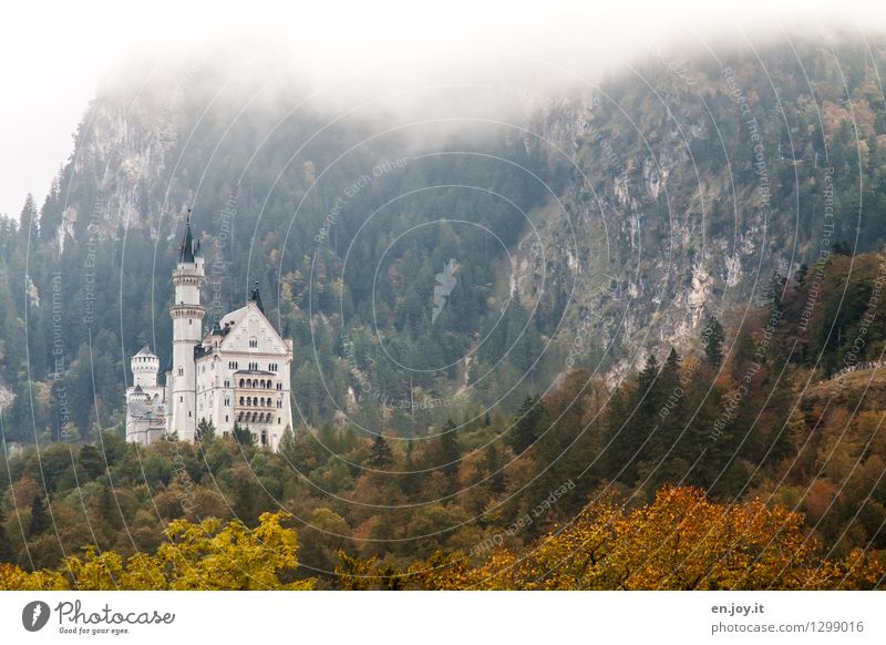 distant view Vacation & Travel Tourism Trip Far-off places Sightseeing Summer vacation Mountain Nature Landscape Autumn Climate Bad weather Fog Forest Hill Alps