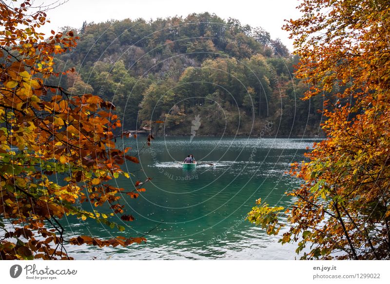 vacation Leisure and hobbies Vacation & Travel Tourism Trip 3 Human being Landscape Autumn Deciduous tree Autumn leaves Automn wood Leaf Twigs and branches