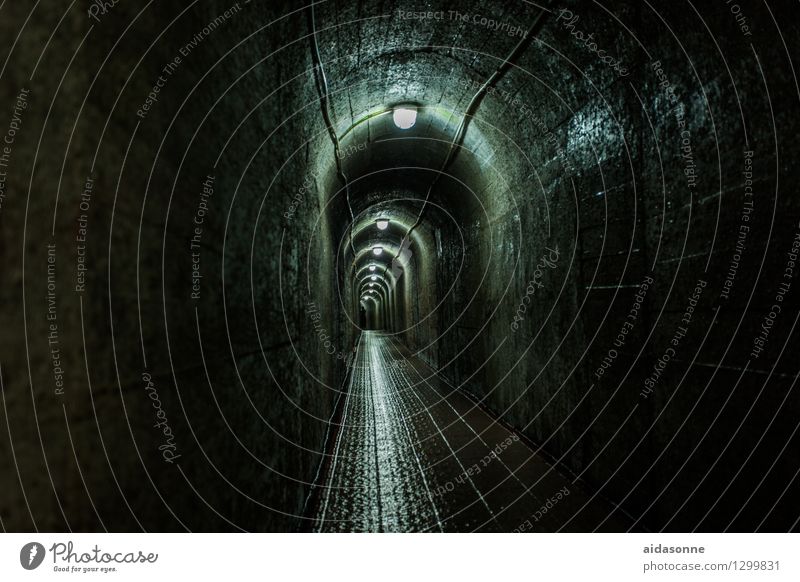 tunnels Jiangyin China Town Deserted Tunnel Tourist Attraction Concern Fear Fear of death Claustrophobia Dangerous Stress Dark Lamp Wet Alarming Creepy