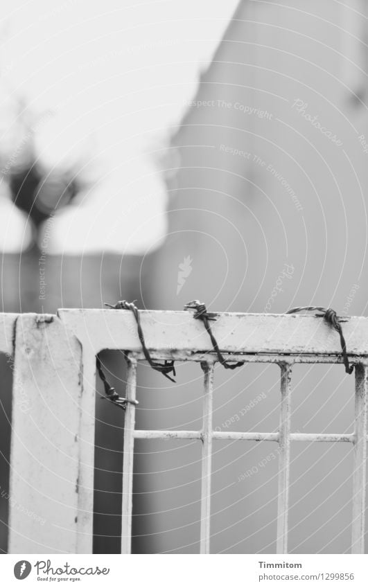 City shard. Flat (apartment) House (Residential Structure) Wall (barrier) Wall (building) Door Grating Barbed wire Metal Dark Gray Black Black & white photo