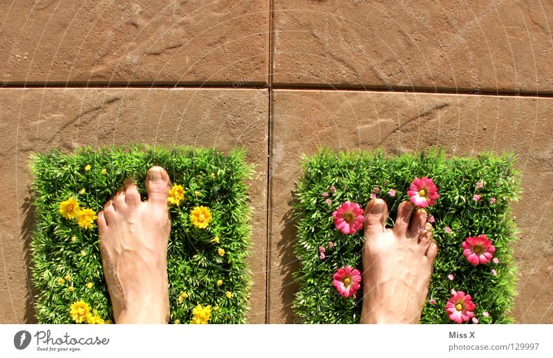 Vacation on Balconies Colour photo Multicoloured Exterior shot Vacation & Travel Summer Flat (apartment) Garden Feet Spring Flower Grass Meadow Balcony Terrace