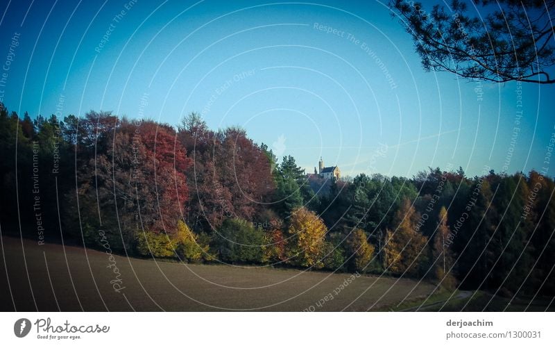 Autumn colours .hiking in the beautiful " Franconia". In the background the castle Gößweinstein, slightly hidden by trees. Joy Calm Trip Hiking Landscape