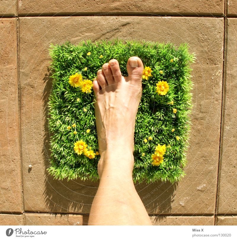 clodhoppers Colour photo Exterior shot Feet Flower Grass Walking Multicoloured Green Happy Happiness Contentment Joie de vivre (Vitality) Toes Square Lawn