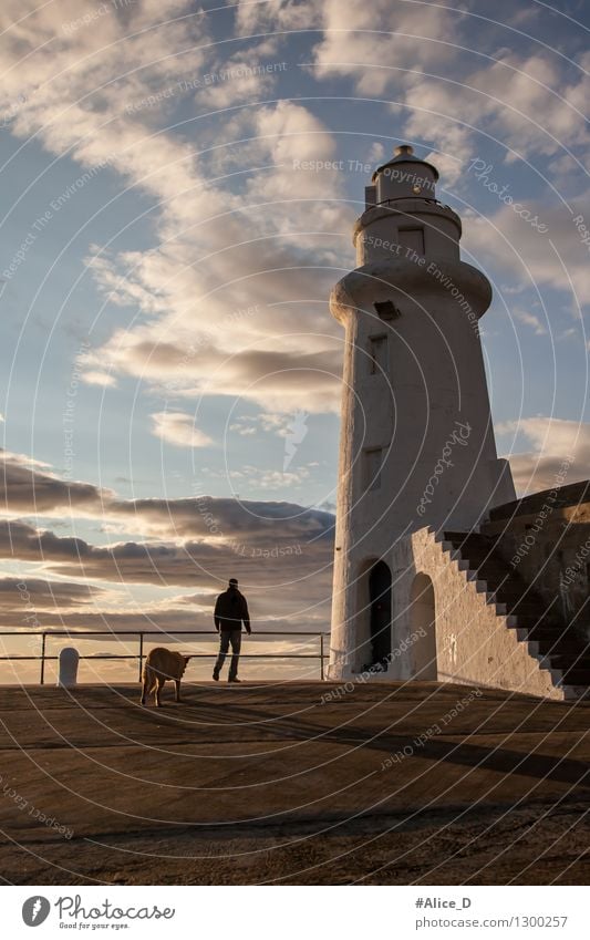 The lighthouse keeper Macduff Scotland Human being Masculine Man Adults 1 Architecture Sky macduff Europe Port City Tower Lighthouse Animal Pet Dog Going Blue