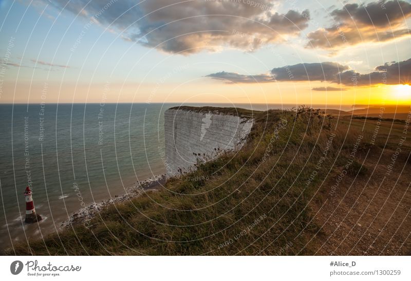 Chalk cliffs coast Seven Sisters Cliffs Ocean Hiking Environment Nature Landscape Elements Water Clouds Grass Sussex Great Britain Europe Lighthouse