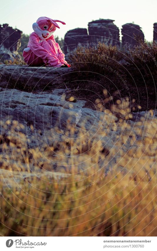 desperate Art Work of art Esthetic Hare & Rabbit & Bunny Hare ears Buck teeth Costume Carnival costume Distress Meditative Philosopher Break Saxon Switzerland