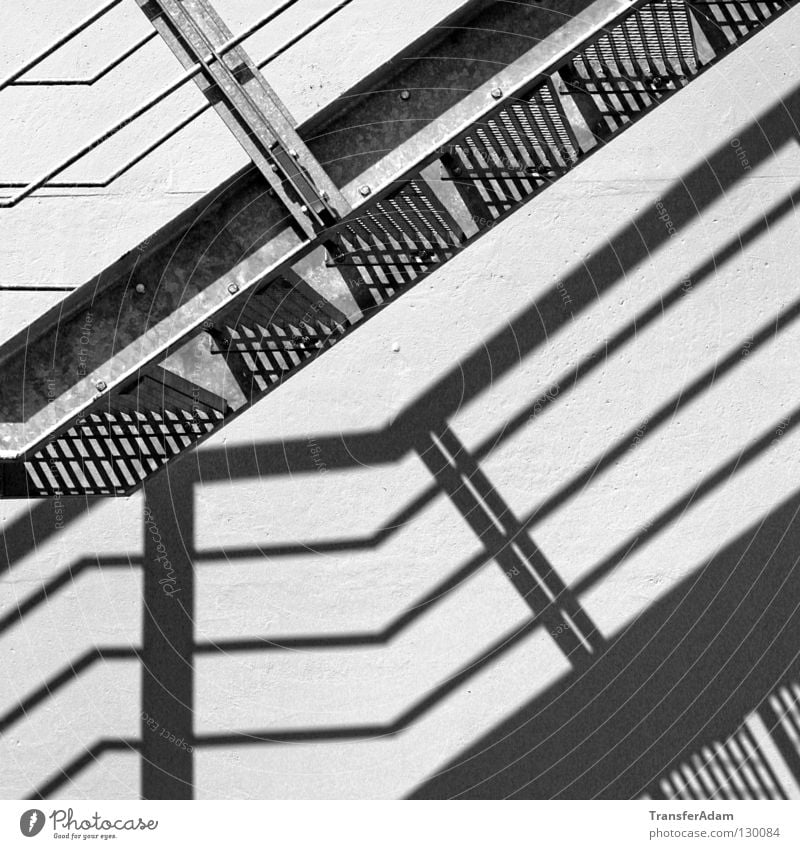 shadow plays Shadow play Square Architecture Stairs Black & white photo Upward black&white