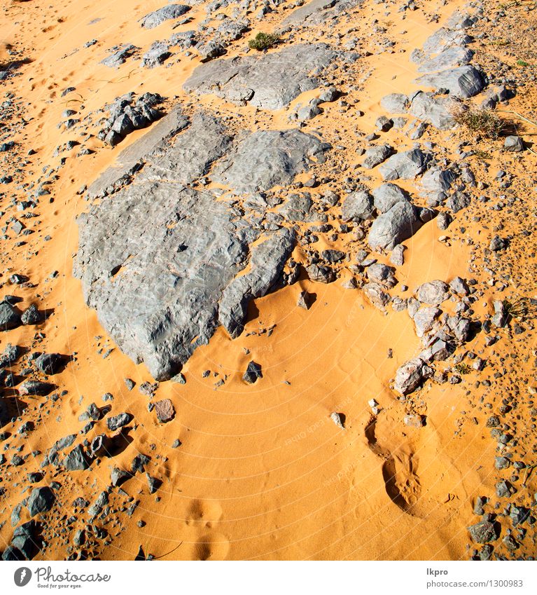 morocco sahara and rock stone sky Nature Climate Colour Vacation & Travel Sand geology rocks yellow gray texture abstract Colour photo