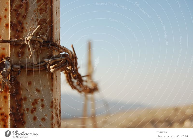 Rusty barbed wire Barbed wire Wire Jordan Asia Narrow Captured Exterior shot Metal Desert near name