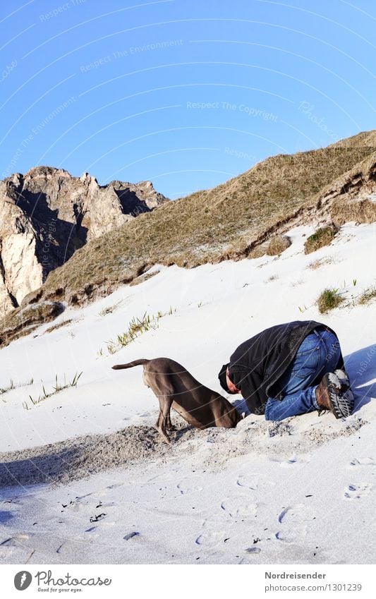 treasure hunting Trip Freedom Summer Beach Ocean Human being Masculine Man Adults Nature Landscape Rock Mountain Coast Animal Pet Dog Sand Work and employment