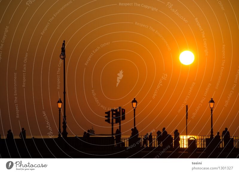 At dusk V Human being Group Water Sun Sunrise Sunset Sunlight Maritime Bridge Bridge railing Street lighting Dusk Traffic light Gold Colour photo Subdued colour