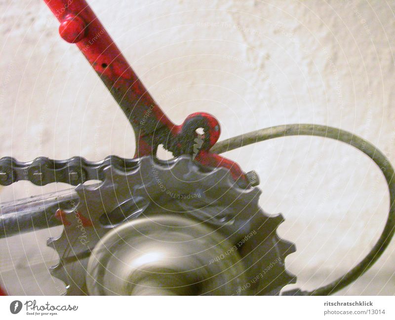 scrawl Racing cycle Things pinion Gearwheel