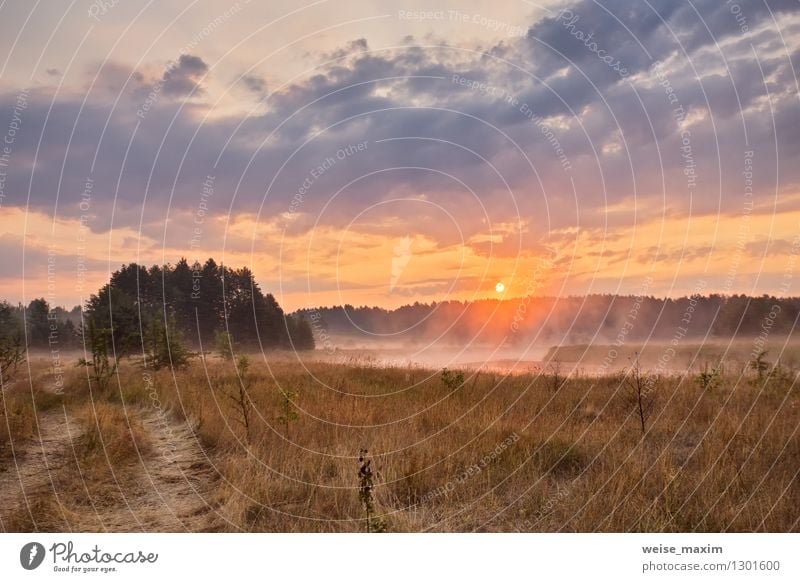 Sunrise on the river shchara Nature Landscape Plant Sand Air Water Sky Clouds Summer Beautiful weather Fog Tree Grass Bushes Meadow Forest Coast River Village