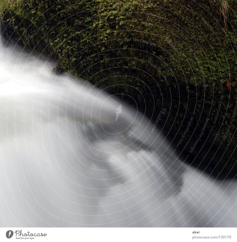 Wishy-washy Mountain Landscape Water Brook River Waterfall Cold Soft Mountain stream Black Forest Schauinsland Highlands gray filter Long exposure Motion blur