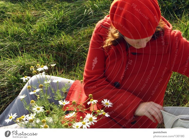 Woman dressed in red sitting on a meadow and looking for something in her handbag Looking away Trip Adults by hand Fingers Beautiful weather flowers Meadow