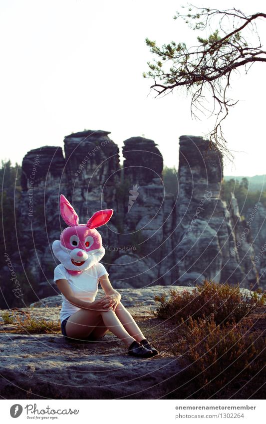 rock bunny Art Work of art Esthetic Hare & Rabbit & Bunny Hare hunting Eroticism Sweet Feminine Saxon Switzerland Rock Hare ears Nature Heather family Pink