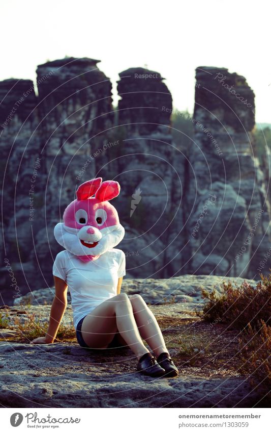 hare Art Work of art Adventure Esthetic Hare & Rabbit & Bunny Hare ears Hare hunting Buck teeth Feminine Posture Rock Eroticism Costume Disguised Pink