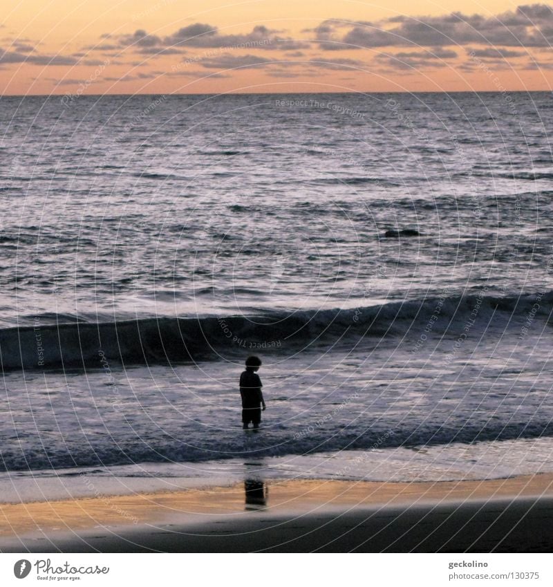 The child and the sea Ocean Child Sunset Waves Dusk Loneliness Clouds Beach Vacation & Travel Free Wet Summer Silhouette Evening Water sea noise Human being