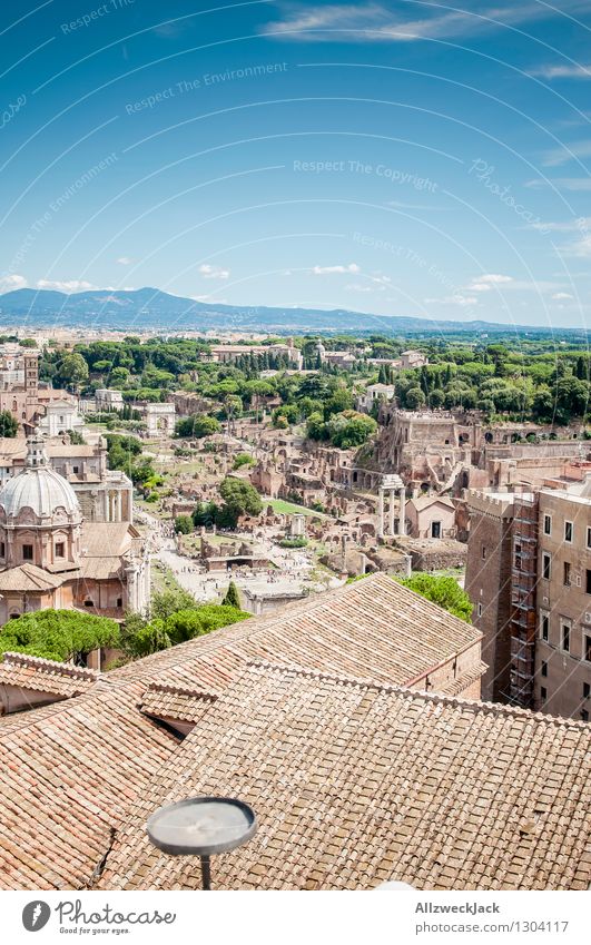 Rome V Italy Europe Capital city Downtown Old town Ruin Roof Tourist Attraction Esthetic Famousness Maritime Discover Tourism Stone pine Colour photo