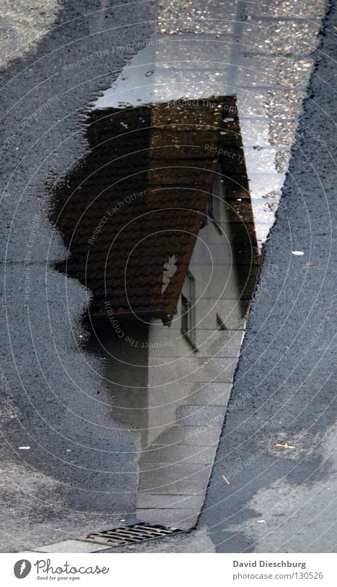 House in the puddle House (Residential Structure) Window Window frame Traffic light Puddle Black Balcony Reflection Frankfurt Main Midday Building Incomplete