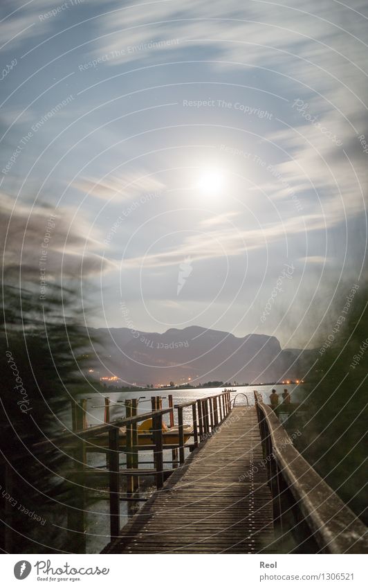 Nocturnal footbridge III Vacation & Travel Adventure Far-off places Summer vacation Nature Landscape Night sky Moon Full  moon Common Reed Alps Mountain Coast