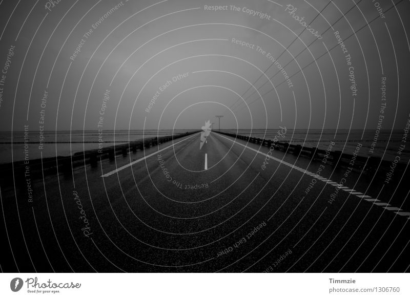 Road to Romo Clouds Weather Bad weather Fog Rain Coast Island Traffic infrastructure Street Longing Wanderlust Denmark Rømø Black & white photo