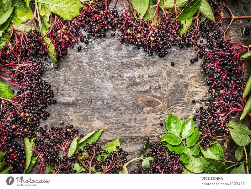 Wood background with elderberries Food Fruit Dessert Jam Nutrition Organic produce Vegetarian diet Diet Style Design Healthy Eating Life Garden Table Nature