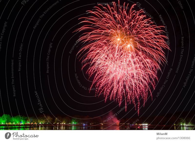 Fireworks at the lake Summer Night life Feasts & Celebrations Event Night sky Beautiful weather River bank Lake Observe Fantastic Gigantic Orange Pink Red Black