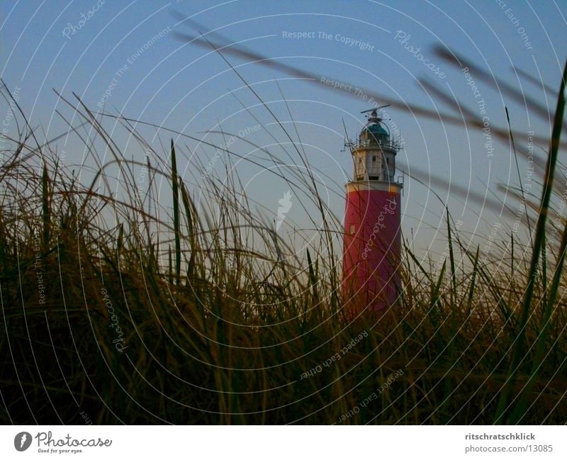 lighthouse {texel} Lighthouse Netherlands Ocean Moody Beach dune tessel Texel Twilight Marram grass Wind