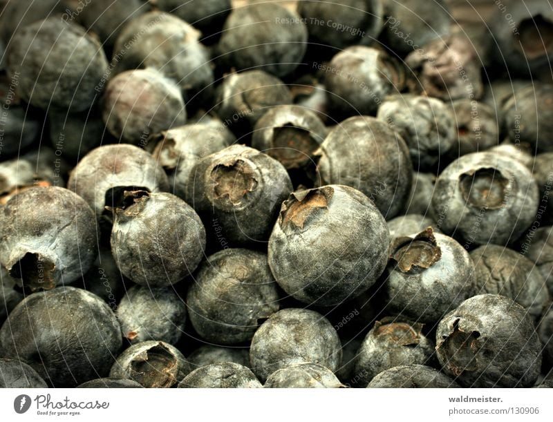 blueberries Dried up Nutrition Food Fruit Transience Macro (Extreme close-up) Close-up Blueberry cultivated blueberries Berries Old Spoiled used to be healthy