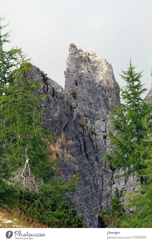 Arrived at the top Vacation & Travel Adventure Freedom Mountain Hiking Nature Landscape Summer Sports Gray Green Dolomites Alps Climbing Peak Colour photo