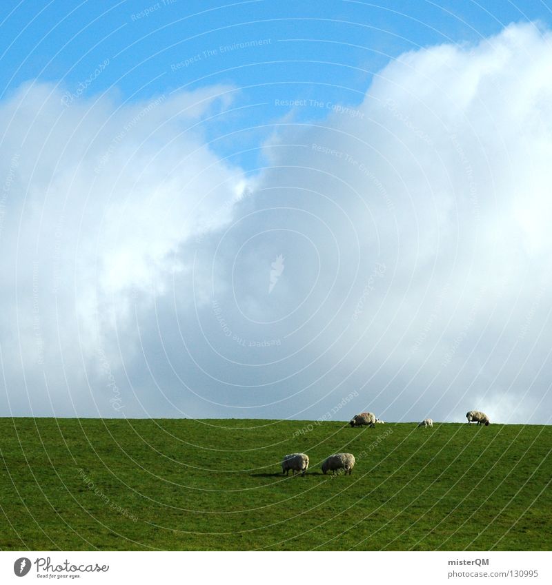 You'd have to be a sheep. Sheep Grass Meadow Clouds Silhouette Sky Calm Peace Peace-loving Hazard-free To feed Romance Green White Gray Future Vantage point