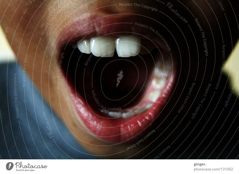 AAAH, don't you hear my shouting? Face Child To talk Mouth Lips Teeth Scream Dark Bright Above White Incisor Sing Detail Open Detail of face Partially visible