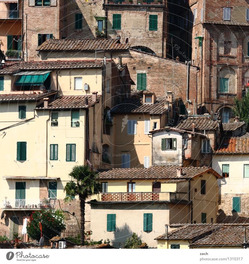 neighborhood Italy Tuscany Village Small Town Downtown Old town Overpopulated House (Residential Structure) Hut Manmade structures Building Architecture