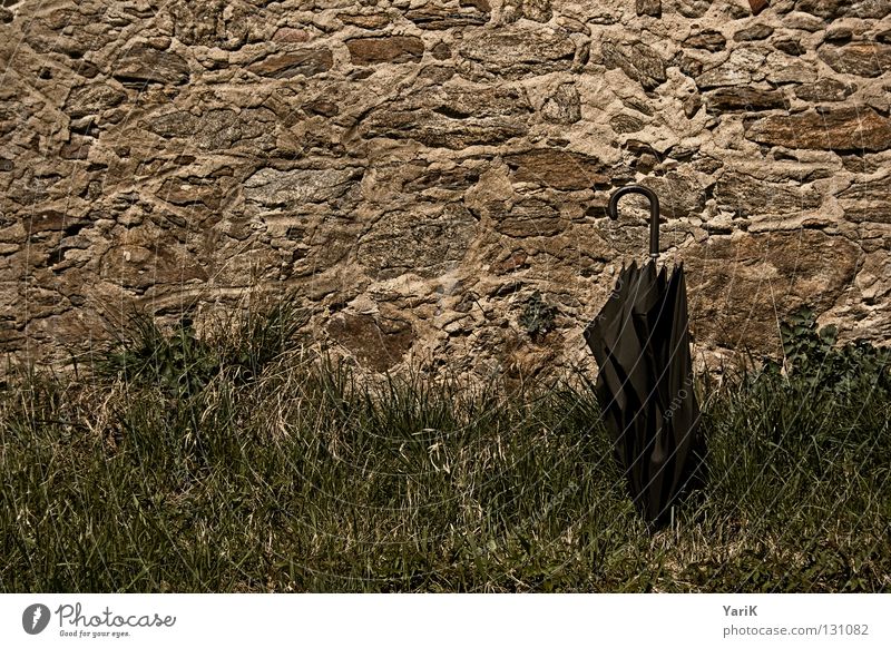 rest Wall (building) Wall (barrier) Stone wall Grass Meadow Green Brown Black Derelict Decline Dark Joy rain screen Umbrella Contrast Old