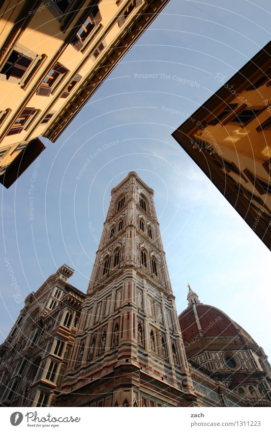 Florence, perspective Vacation & Travel Tourism City trip Cloudless sky Beautiful weather Italy Tuscany Town Downtown Old town Deserted