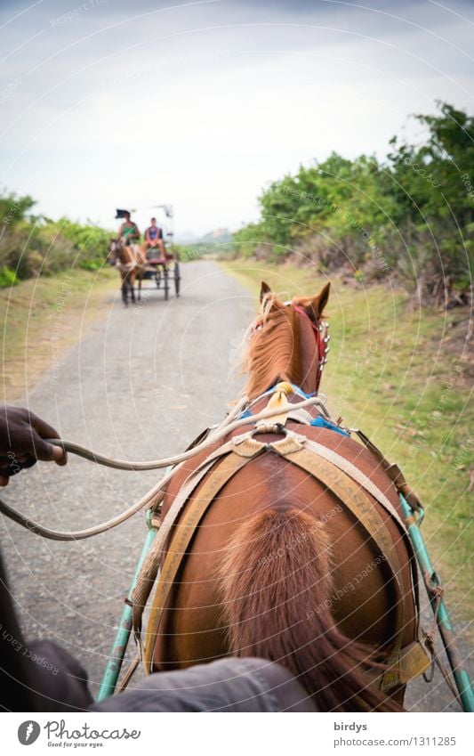 Line 7 Human being Landscape Clouds Plant Means of transport Passenger traffic Public transit Street Horse-drawn carriage Driving Vacation & Travel Authentic