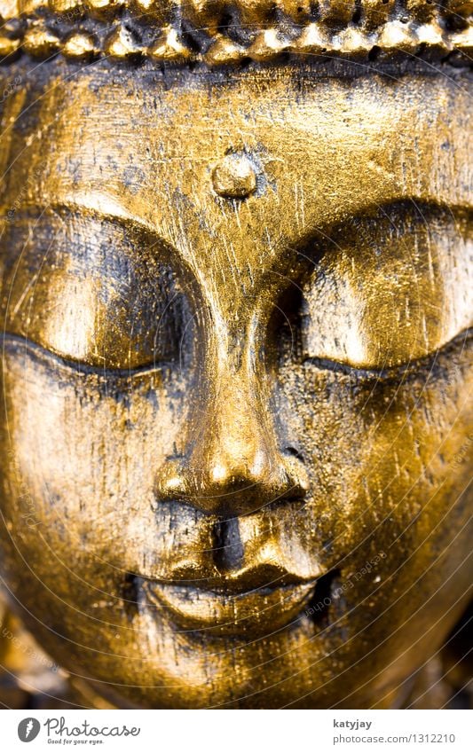 Buddha Buddhism Siddhartha Religion and faith Meditation Wellness Belief Awareness Statue Calm Massage Relaxation Face Asia Prayer Body Figure Iconic Art