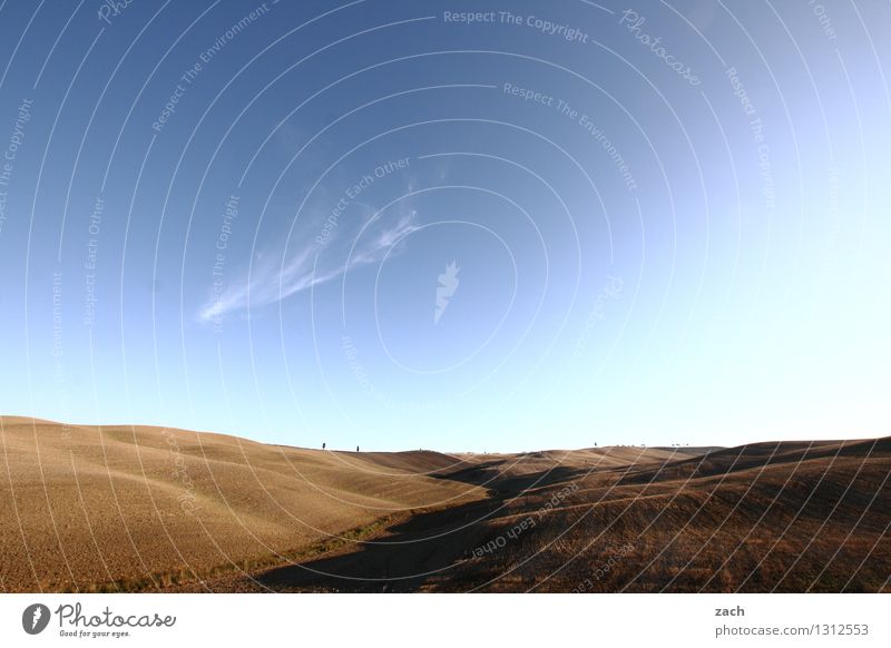 This will all be yours one day... Environment Landscape Earth Sand Sky Summer Beautiful weather Drought Plant Tree Cypress Field Hill Val d'Orcia Tuscany Italy