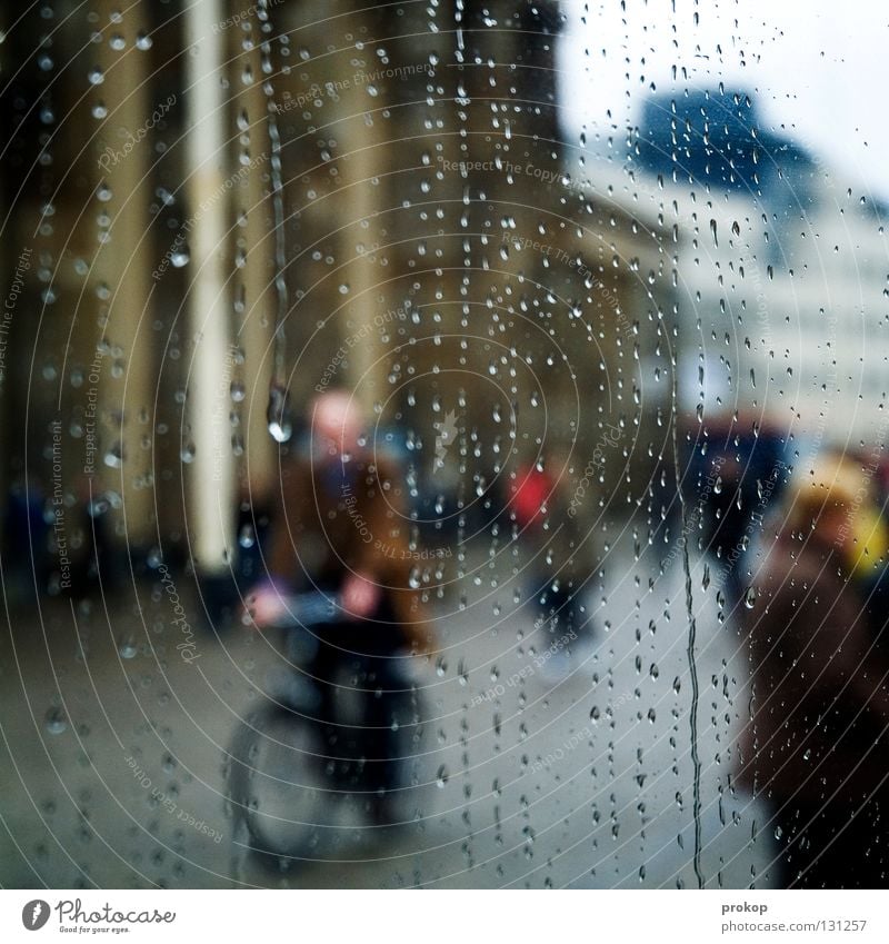 aquaplaning Damp Wet Rain Tourism Brandenburg Gate Bicycle Driving Tourist Transport Man Joy Water Drops of water Weather Spoiled Berlin Coil Logistics