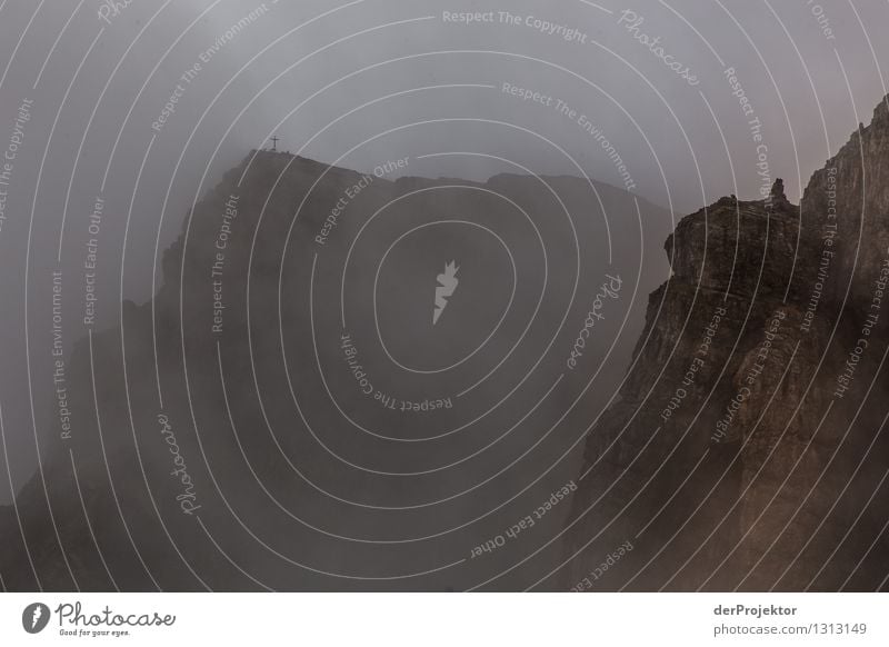 Summit cross in the fog Vacation & Travel Tourism Adventure Far-off places Freedom Expedition Hiking Environment Nature Landscape Plant Animal Summer